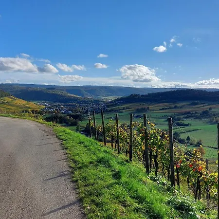Zum Niederberg Mit Balkon Und Moselblick Διαμέρισμα