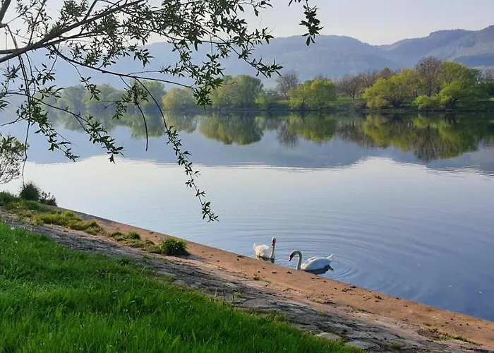 Zum Niederberg * Lieser